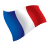 French (FR) 